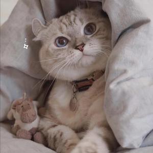 龚玥菲㊙️露出奶头
